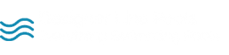 Designer Line Pools